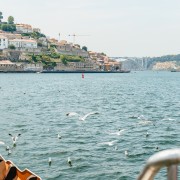 Porto: 6-Brücken-Flussrundfahrt auf dem Duero