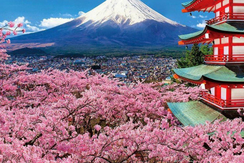 Mt. Fuji and Hakone Private Tour in Luxury Vehicle