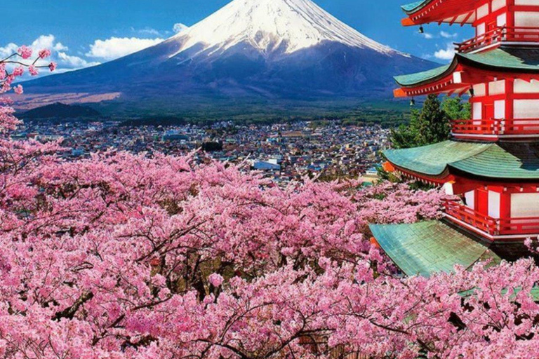 Mt. Fuji and Hakone Private Tour in Luxury Vehicle
