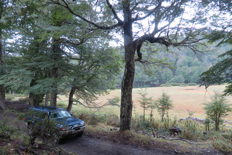 San Martín de los Andes: a 4x4 guided tour to the Mallin