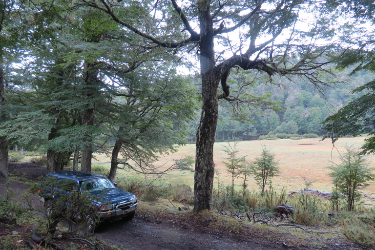 San Martín de los Andes: a 4x4 guided tour to the Mallin