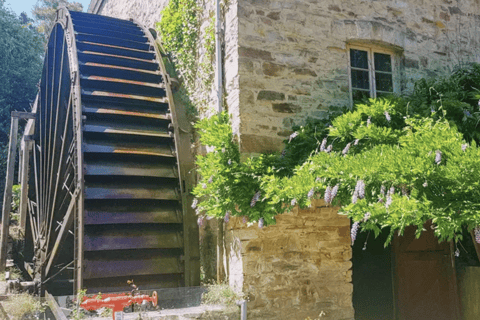 Private Adelaide Hills Wine Tastings and Lunch Day Tour Adelaide: Private Day Tour of Adelaide Hills with Lunch