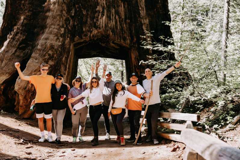 San Jose: Yosemite National Park and Giant Sequoias Trip