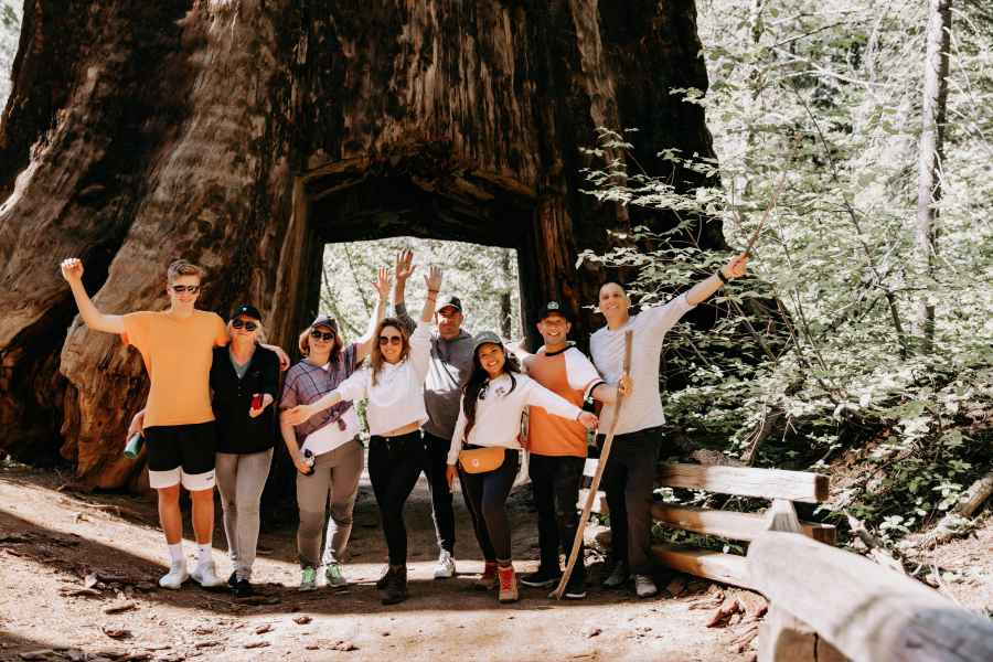 San Jose: Yosemite National Park und Giant Sequoias Trip. Foto: GetYourGuide