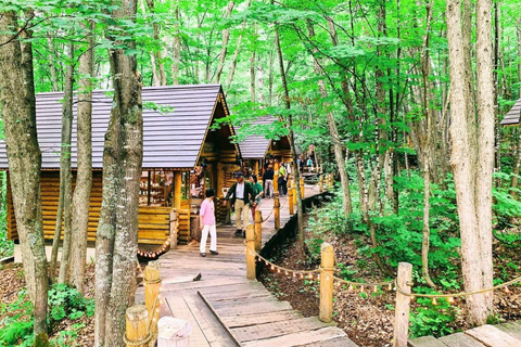 Sapporo: 2-Day Furano Lavender & Biei Blue Pond Summer Tour