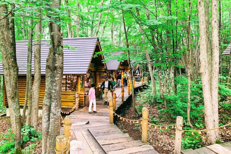 Sapporo: 2-Day Furano Lavender & Biei Blue Pond Summer Tour