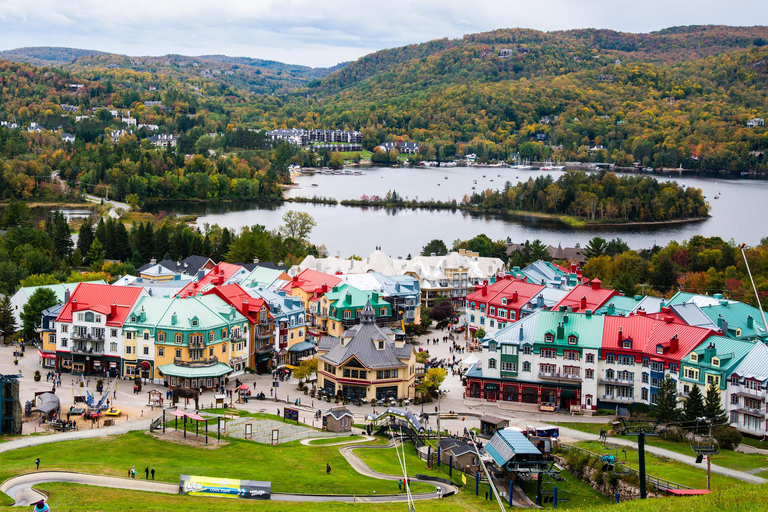 From Toronto: Blue Mountain Best Value Tour