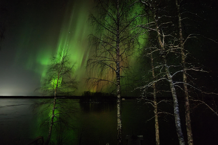 Rovaniemi: Traditional Sauna and Ice Swimming Experience
