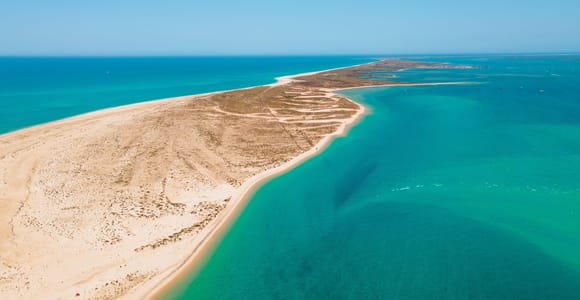 Olhão: Ria Formosa Natural Park Boat Cruise & Culatra Visit