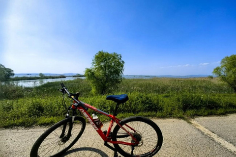 Shanghai: Dianshan & Yuandang Lake 100km Bike Tour Day Trip Shanghai: Dianshan & Yuandang Lake 100km Bike Tour Day Trip