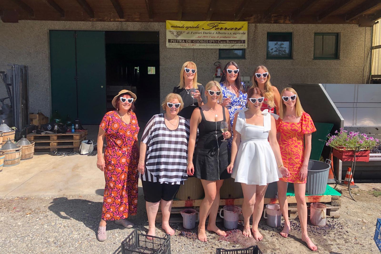 Spring Time Vineyards Milan’s Perfect Wine Tasting & Lunch