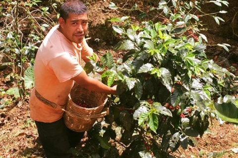 Z Huatulco: wycieczka po kawie i Mezcal