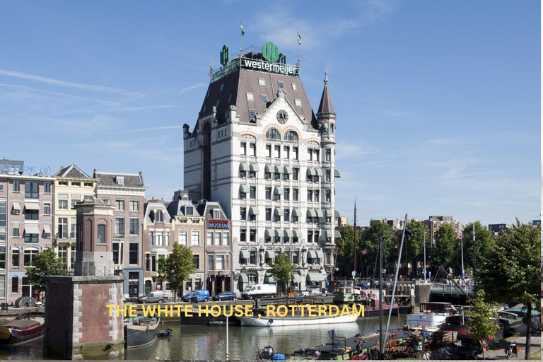 Rotterdam und Kinderdijk Tägliche Rundgangs- und Bootstour