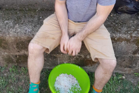 Sikituru Village Tour with Kava Ceremony & Temple Visit