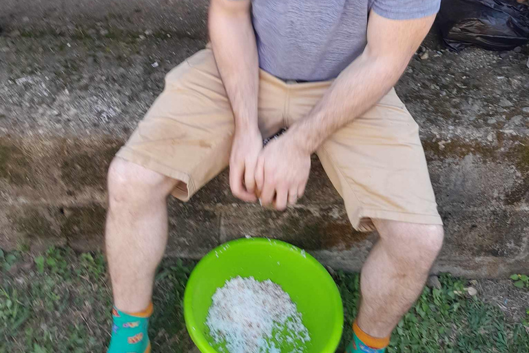 Sikituru Village Tour with Kava Ceremony & Temple Visit