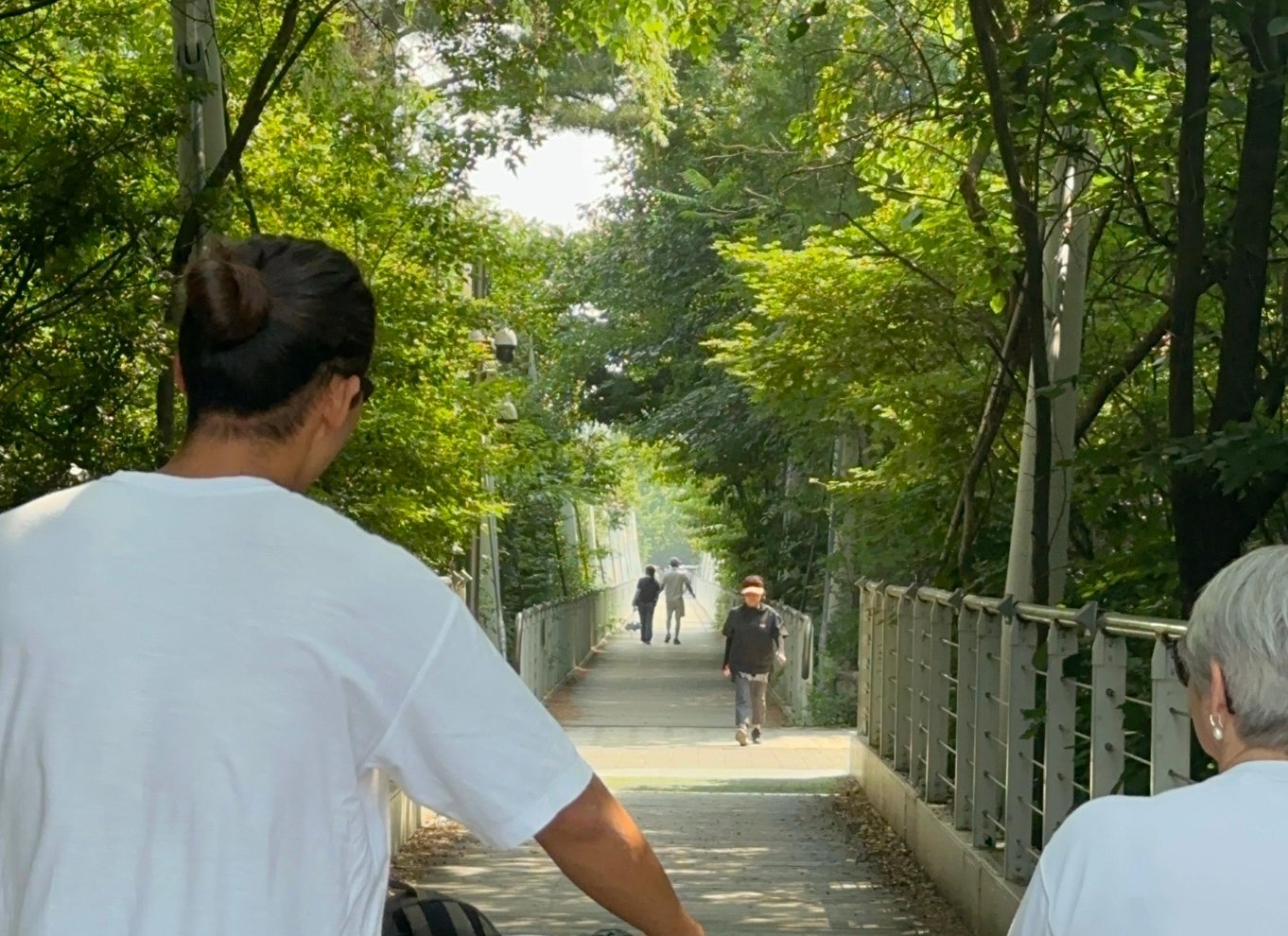 Seoul: Cykeltur i den urbane natur langs Han-floden