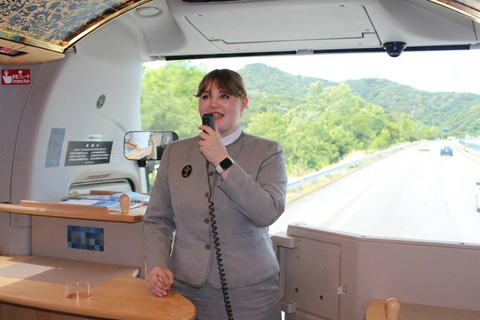 Himeji Castle Guided Tour and Kobe Beef Lunch from Kyoto Return Shinkansen (bullet train) ticket to Shin-Osaka