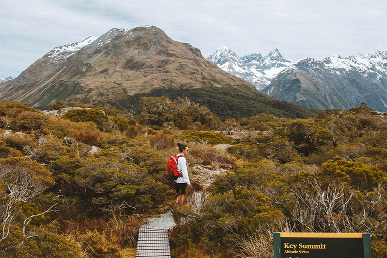 Fiordland: Caminhada guiada de um dia pela trilha Routeburn e Key SummitFiordland: Caminhada guiada de um dia pela trilha Routeburn e pelo Key Summit