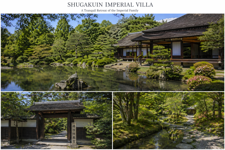 Kyoto:Secret Hidden Gems Tour with Forest Walk & River Lunch