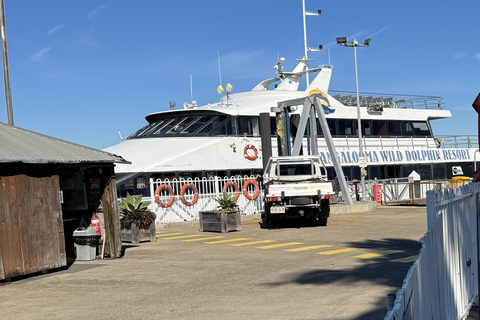 TANGALOOMA: HOLT ST WHARF TILL GOLD COAST SHUTTLEJW Marriott Gold Coast avlämning