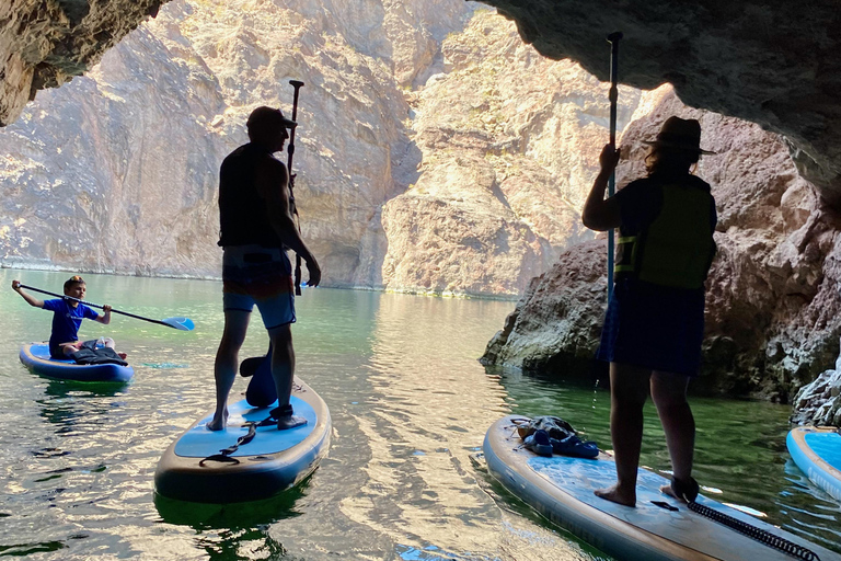 Plage de Willow : Location de paddle board