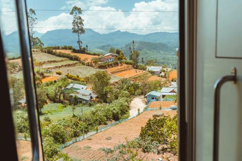 康提至努沃勒埃利耶观光列车电子票（含指定座位）康提至纳努瓦亚观光列车二等或三等车厢电子票