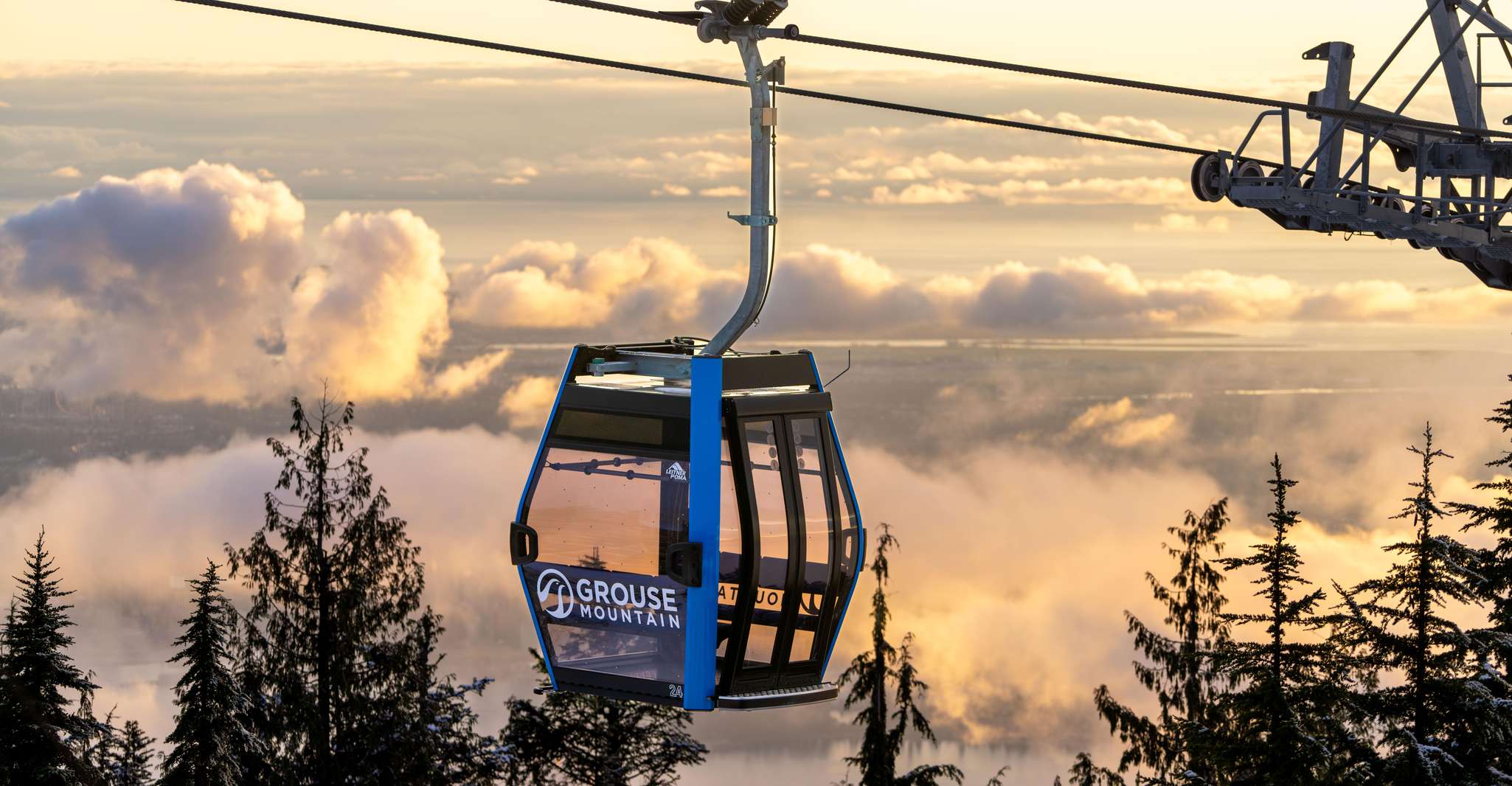 Grouse Mountain, Capilano Bridge & Fish Hatchery Tour