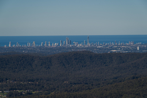 Costa de Ouro: Excursão de um dia ao Mt Tamborine Kangaroo e KoalaCangurus e vista para as montanhas