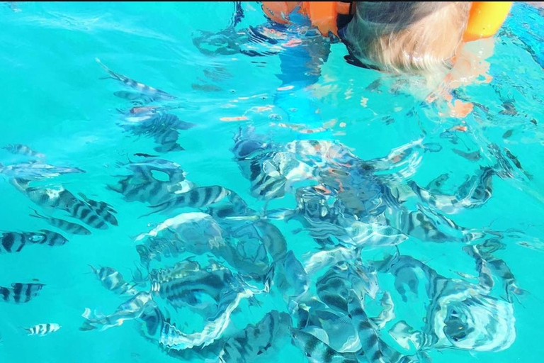 Sansibar: Blaue Lagune, Seesterne, Paje Strand und Maalum HöhleSansibar: Blaue Lagune, Seesterne, Jambiani und Maalum-Höhle