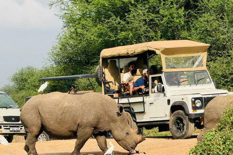 Nairobi: Sunrise Safari with Bush Breakfast At NNP