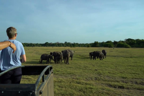 From Colombo: Dambulla, Sigiriya, and Jeep Safari Day Trip