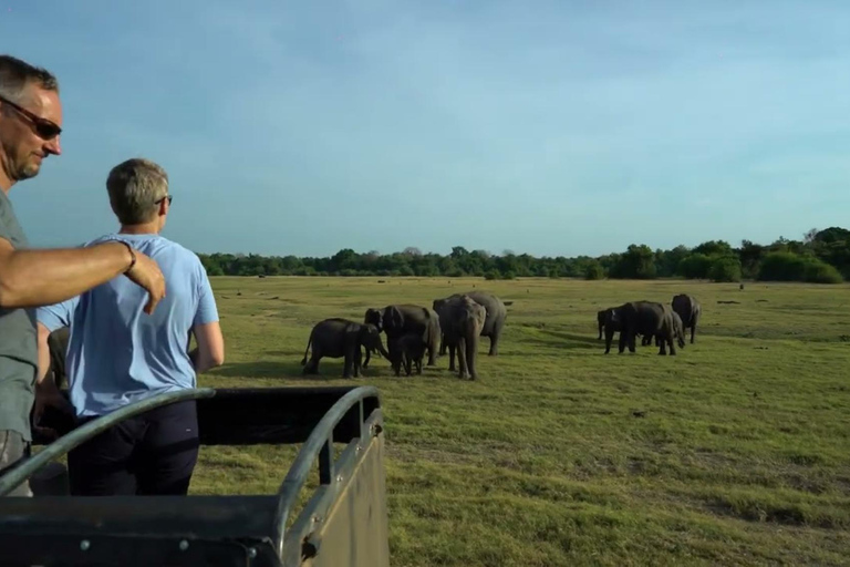 From Colombo: Dambulla, Sigiriya, and Jeep Safari Day Trip