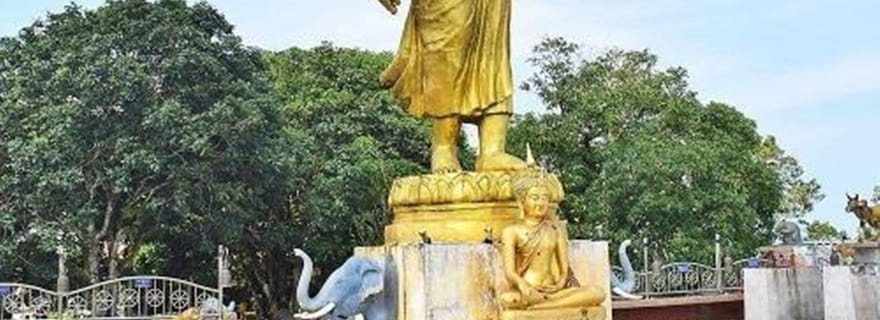 Koh Samui : safari privé dans la jungle avec déjeuner