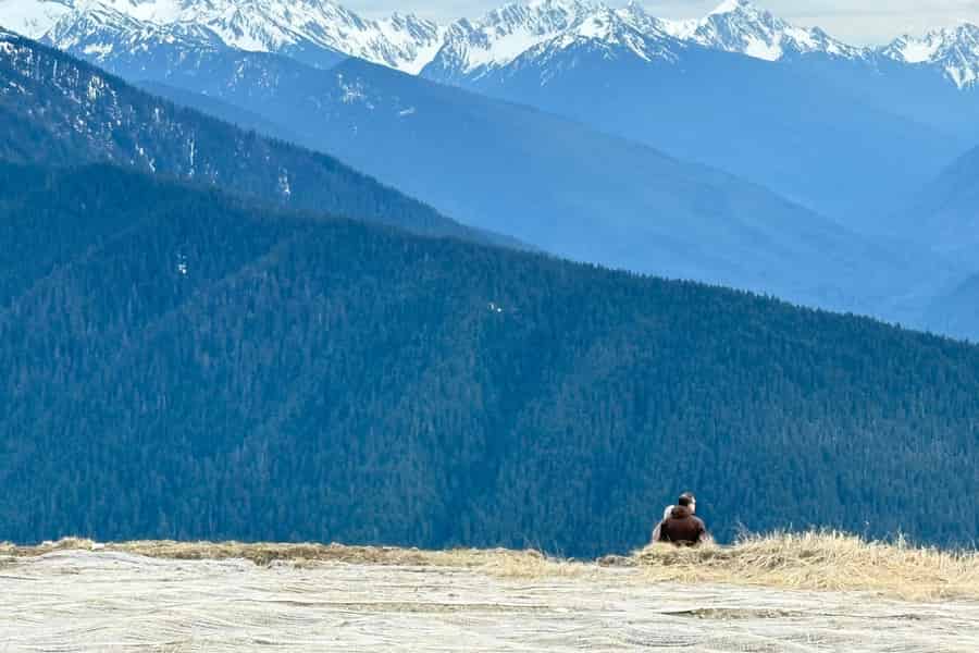 Tour durch den Olympic Nationalpark: Berge, See und Regenwald. Foto: GetYourGuide