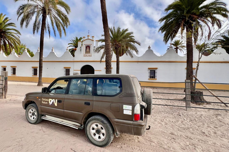 Doñana: 4x4 Trip and Exclusive Access to Coto del Rey Daily 4x4 visit to Doñana National Park