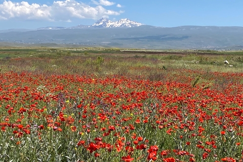 Yerevan: Mount Aragats South Summit Private Hiking Tour