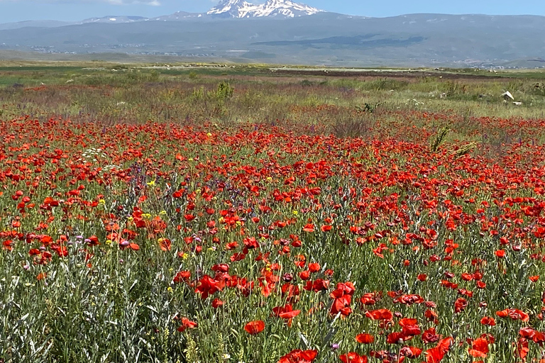 Yerevan: Mount Aragats South Summit Private Hiking Tour