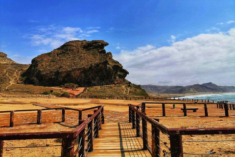 Salalah | Plaża Fazayah, plaża Mughsail i drzewa kadzidłowca