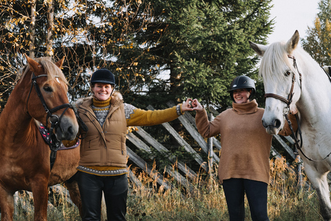 Rovaniemi : Tour d&#039;équitation avec des chevaux finlandais au SCV