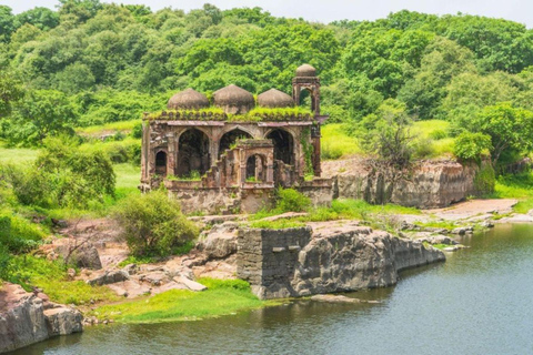 德里：萨里斯卡国家公园（Sariska National Park）一日游（含老虎野生动物园萨里斯卡国家公园当日游含老虎巡游