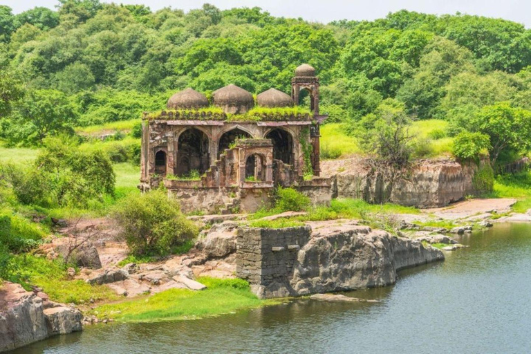 德里：萨里斯卡国家公园（Sariska National Park）一日游（含老虎野生动物园萨里斯卡国家公园当日游含老虎巡游