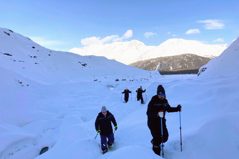 Guided Snowshoeing Adventure from Seward, Alaska 6-Hour Tour