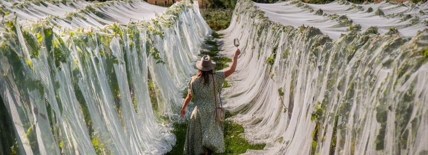 Nelson : visite guidée avec dégustations et déjeuner