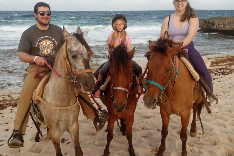 Tour privado a caballo por la playa y el parque nacional de Aruba ArikokPlaya para montar a caballo y Parque Nacional Arikok