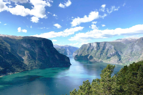 Tour guidato privato - Crociera sul Nærøyfjord e ferrovia di Flåm