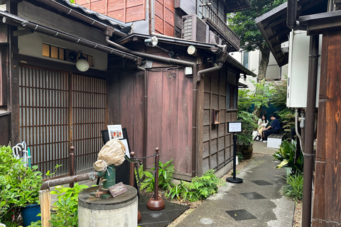 Tradycyjne stare miasto w Tokio - Yanaka, Nezu i Ueno SakuragiTokio : Stare tradycyjne miasto~Yanaka,Nezu&amp;Ueno Sakuragi