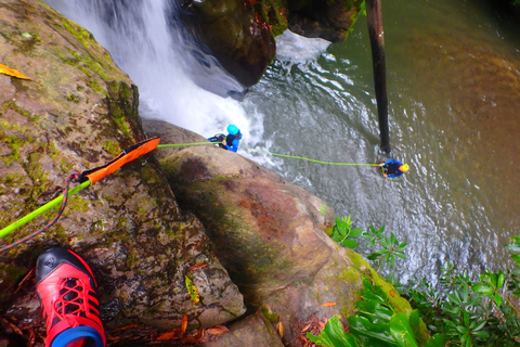 Sao Miguel: Salto do Cabrito Geführte Canyoning-ErfahrungTour mit Abholung von Ponta Delgada