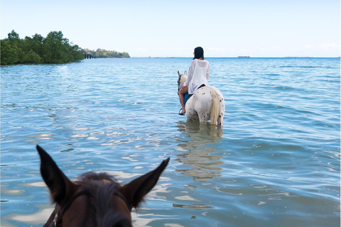 Zanzibar: Ridning och sköldpaddssimning