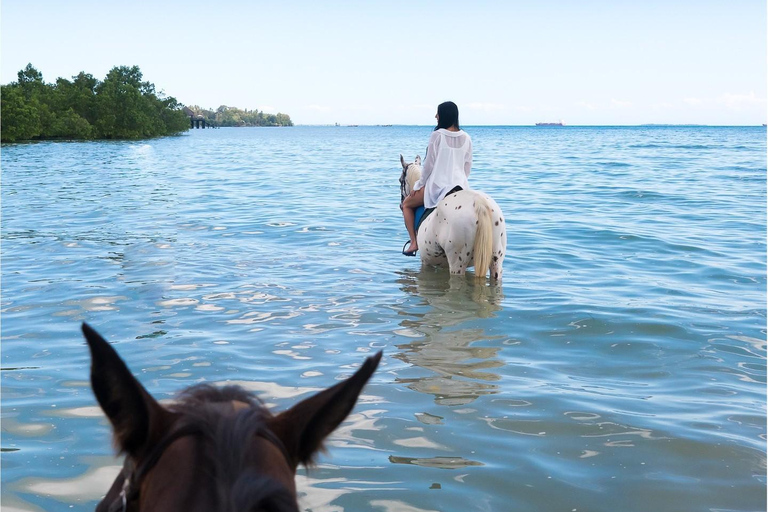 Zanzibar: Passeio a cavalo e natação com tartarugas