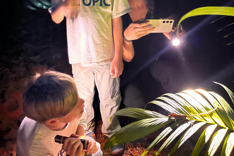 Puerto Jimenez: Jungle Night Walk near Corcovado NP